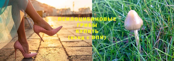 стаф Алексин