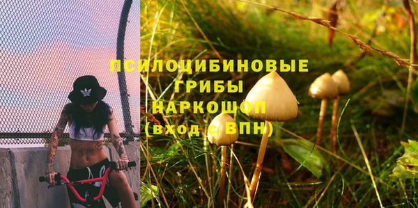 прущие крисы Абинск